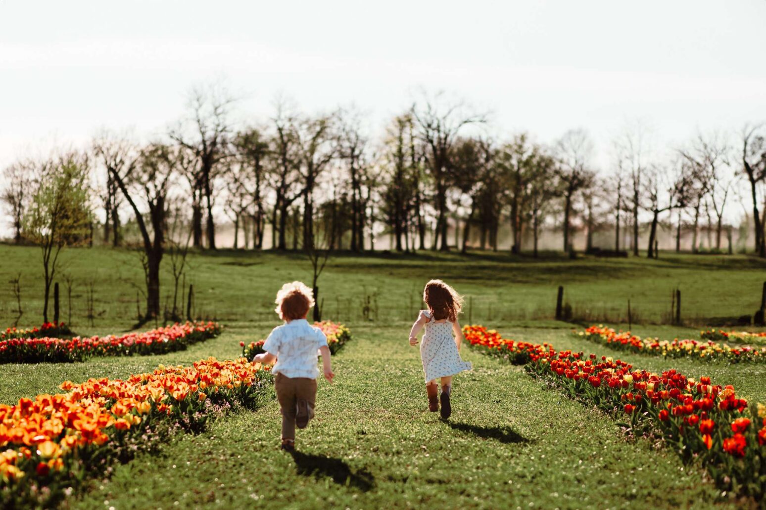 family photographer near me, outdoor family portraits Northwest Arkansas