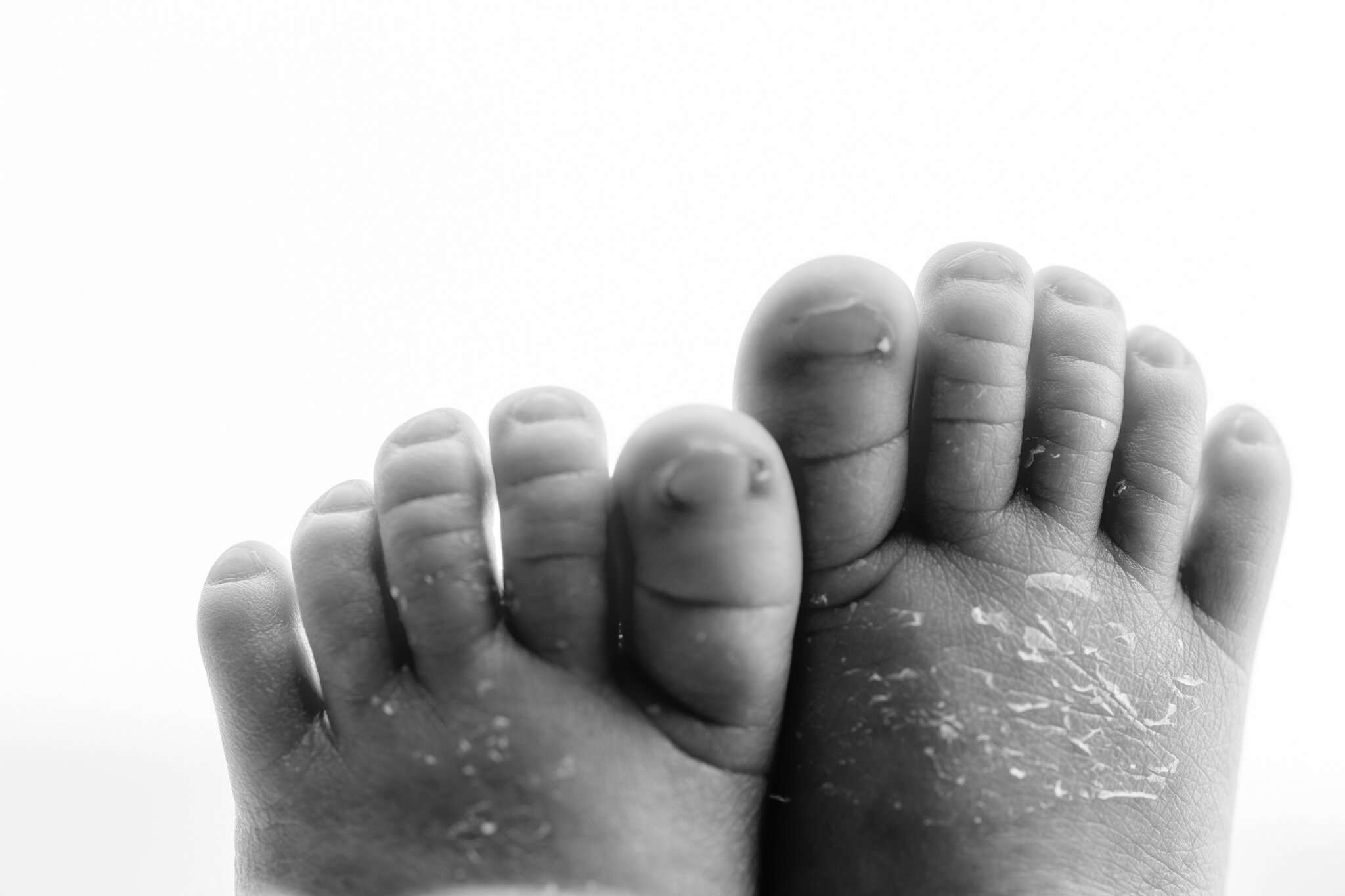 best Bentonville newborn photographer, baby portraits