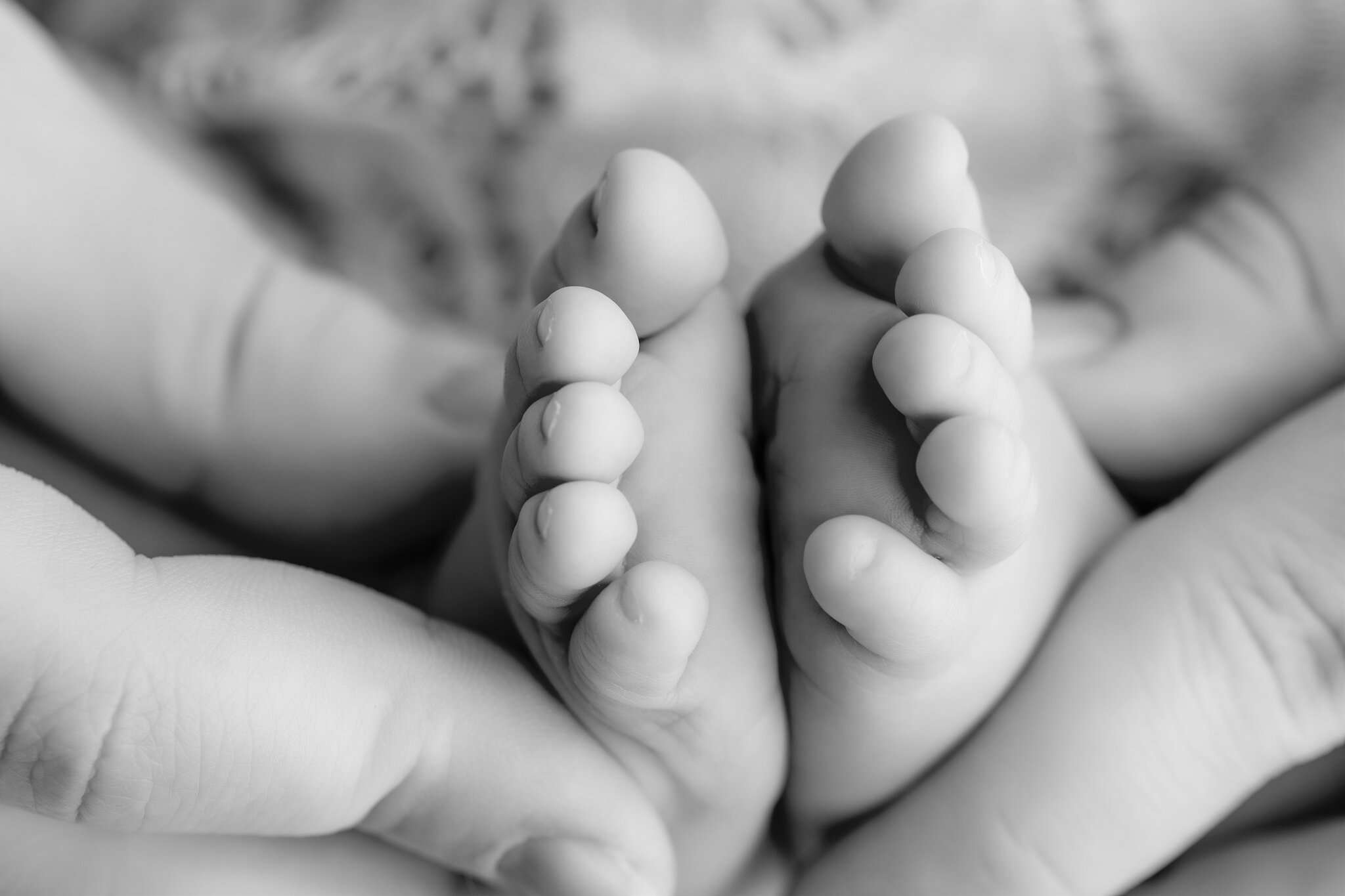 Cave Springs baby photography, newborn portraits